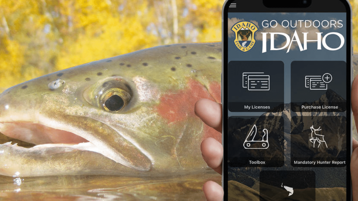 Idaho Fish and Game's E-tagging for Salmon/Steelhead Is Now Available. -  Brandt Information Services